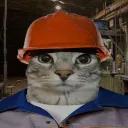 feiagg