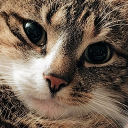 avatar MordoMordeczek