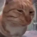 mika_98