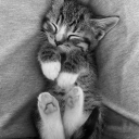 avatar 𝒍𝒙𝒚1𝒉𝒔