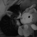 avatar 𝒍𝒙𝒚1𝒉𝒔