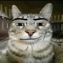 petanfn avatar