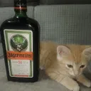 emoral_