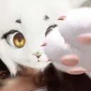 txmpe