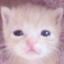 zenduu