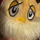 avatar Eli Vandivier