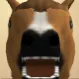k9cop10