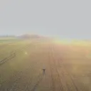 spekarek