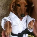 avatar Violt Dreivil