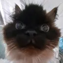 BubNug