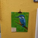 kingfisher7412