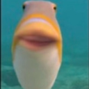 avatar SubShnish🗣