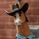 yesiamahorse