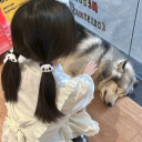 avatar secret2297402748274x