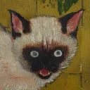 rrriotkitty