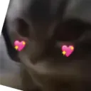 rosolak_