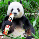 avatar Bambusbjörn
