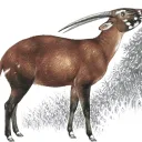 melder227