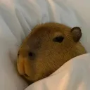 sweetblades