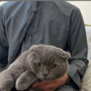 avatar تيـركس🦖.