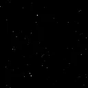 energetic_capybara_93090 avatar