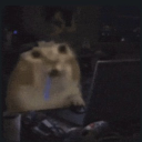 Ganzyto