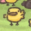 beerfunger