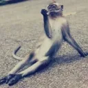 bluemonkeyballs69
