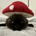 .dontstare
