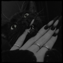 avatar Cαƚαʅҽყα.