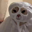 chisoru
