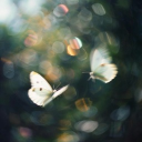 f1shy_357_b0wl#0