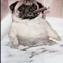 ruruk1