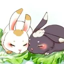 gumieca