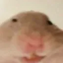 dj2thicc