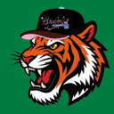 Tigerr