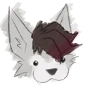draik91