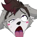 draik91