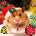 avatar ._.DonaTella._.