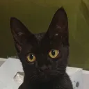 suyami.