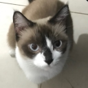 avatar Mimimszu