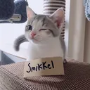 smikkeltoetje