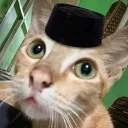 damarfattah1373 avatar