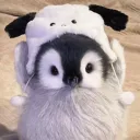 voltizide