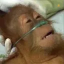 drayfusxd avatar