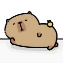 bearlang.