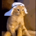 wizard_1511