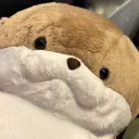aoi_owo