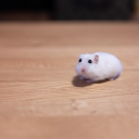 avatar Molecule gravy