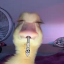 zertuoz99